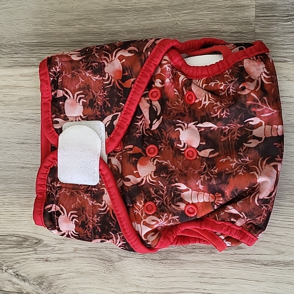 Thirsties Pocket Diaper